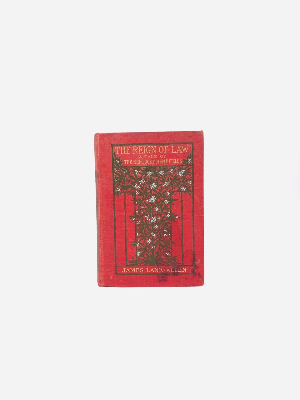 The Reign of Law. By James Lane Allen. First Edition, Second Printing. Macmillan. New York, 1900. - Image 2