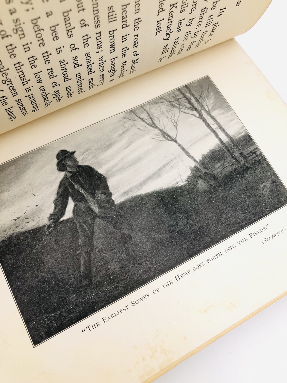 The Reign of Law. By James Lane Allen. First Edition, Second Printing. Macmillan. New York, 1900. - Image 6